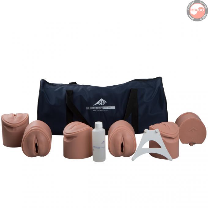 3B Birthing Stages Trainer